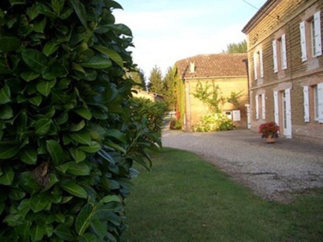 Bed and Breakfast Le Platane Lafrançaise Exterior foto